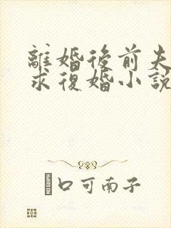 离婚后前夫哭着求复婚小说阅读全部