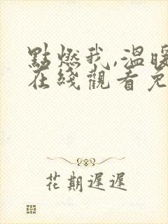 点燃我,温暖你在线观看免费全集