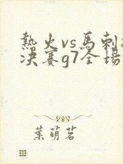 热火vs马刺总决赛g7全场回放