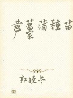 黄菖蒲种苗供应厂家