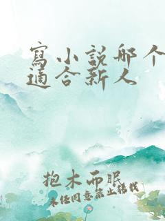 写小说哪个平台适合新人