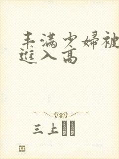 丰满少妇被猛烈进入高