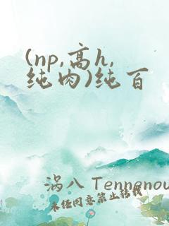 (np,高h,纯肉)纯百