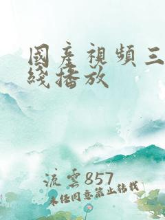 国产视频三级在线播放
