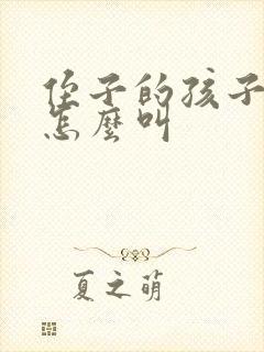 侄子的孩子我该怎么叫