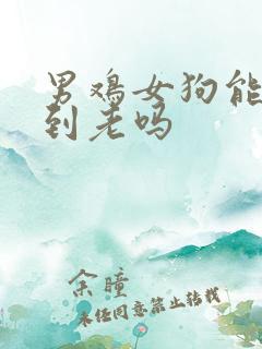 男鸡女狗能白头到老吗