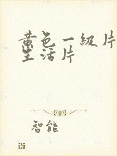黄色一级片夫妻生活片
