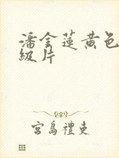 潘金莲黄色,一级片