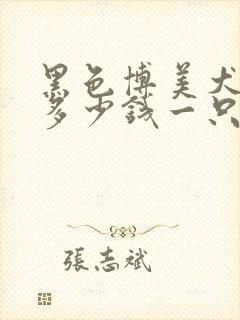 黑色博美犬小狗多少钱一只