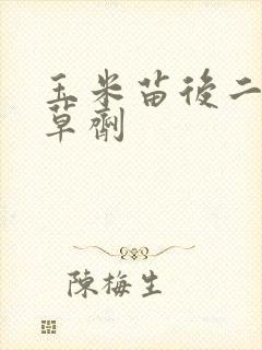 玉米苗后二次除草剂