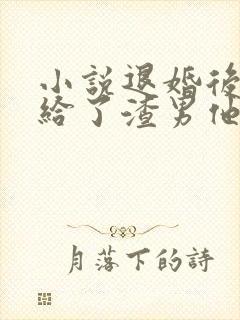 小说退婚后我嫁给了渣男他叔