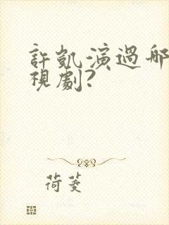 许凯演过哪些电视剧?