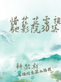 惜花芷电视剧策驰影院30集