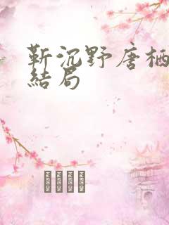 靳沉野唐栖后续结局