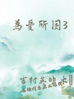 为爱所困3