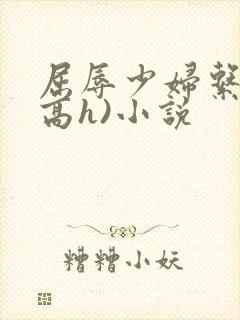 屈辱少妇系列(高h)小说
