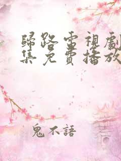 归路电视剧30集免费播放