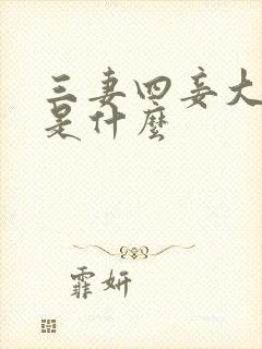三妻四妾大结局是什么