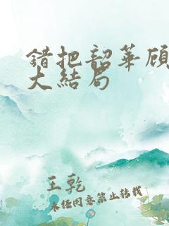 错把韶华顾小说大结局