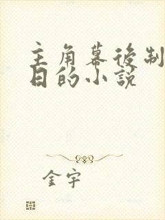 主角幕后制造末日的小说