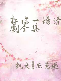 许你一场清欢短剧全集