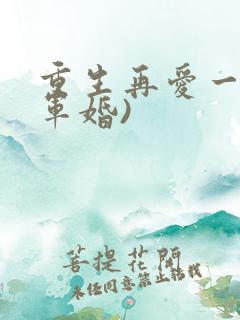 重生再爱一次(军婚)