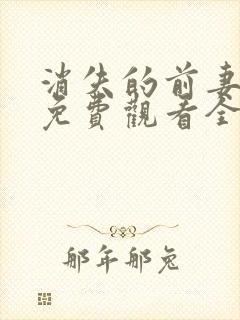 消失的前妻短剧免费观看全集
