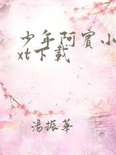少年阿宾小说txt下载