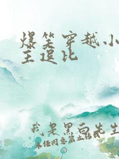 爆笑穿越小说女主逗比