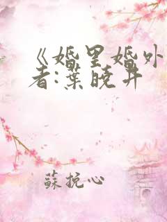 《婚里婚外》作者:叶晓井