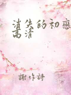 消失的初恋日剧高清