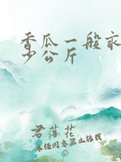 香瓜一般亩产多少公斤