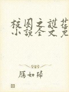 校园之护花兵王小说全文免费阅读