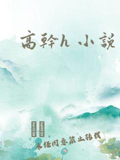 高干h 小说