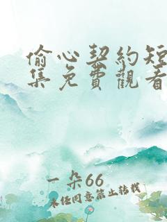 偷心契约短剧全集免费观看