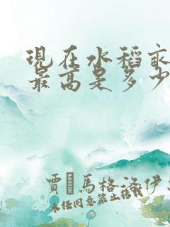 现在水稻亩产量最高是多少