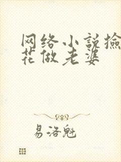 网络小说捡个校花做老婆
