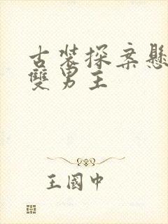 古装探案悬疑剧双男主