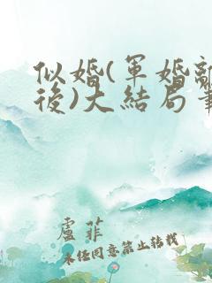 似婚(军婚离婚后)大结局笔趣阁