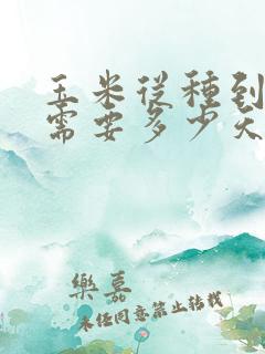 玉米从种到成熟需要多少天