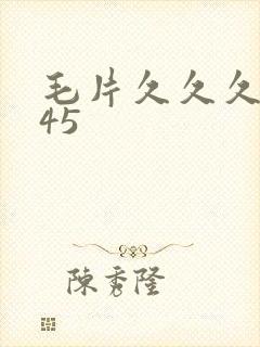 毛片久久久久久45