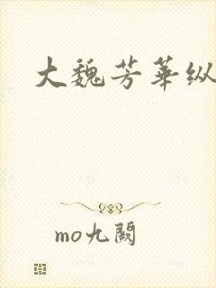 大魏芳华纵横