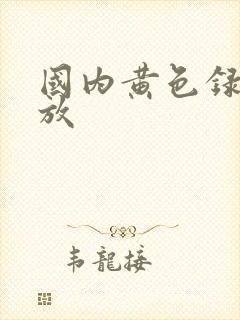 国内黄色录像播放