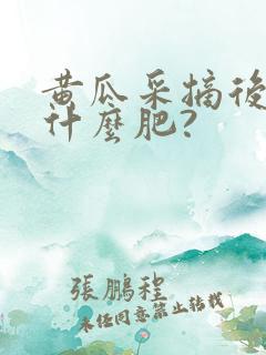 黄瓜采摘后追施什么肥? 黄瓜采摘后追施什么肥?