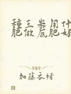 种玉米用什么化肥做底肥好