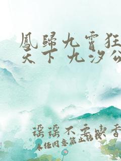 凤归九霄狂妃逆天下 九汐公子