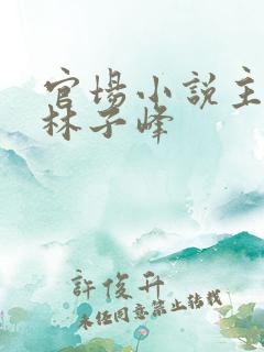 官场小说主人公林子峰