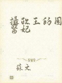 摄政王的团宠小医妃