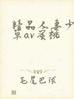 精品人妻少妇嫩草av蜜桃