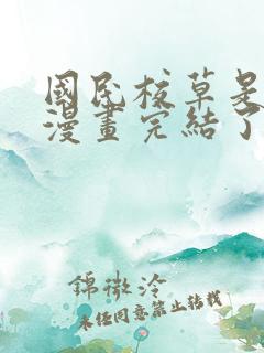 国民校草是女生漫画完结了吗